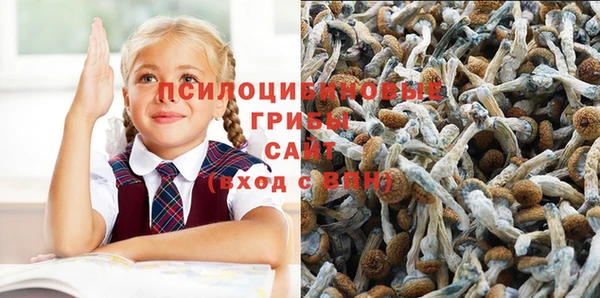 альфа пвп VHQ Гусиноозёрск